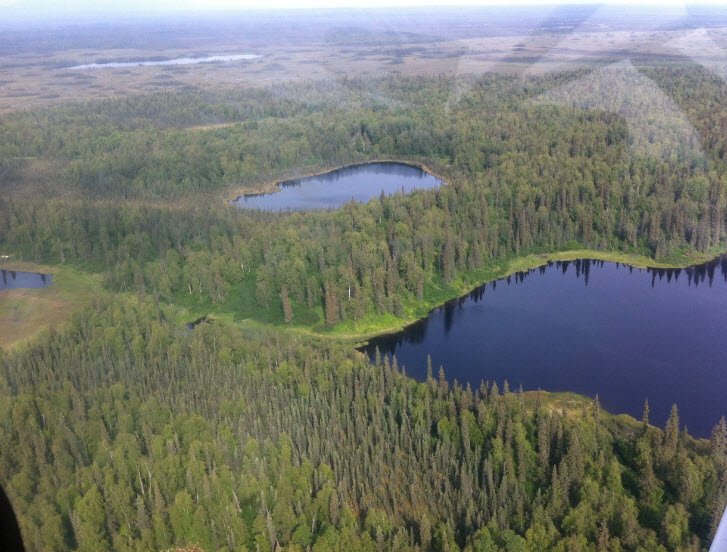 Nancy Lake State Recreation Area, Alaska, USA